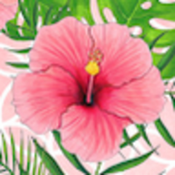 Meet your Posher, Haley - Picture 1 of 1